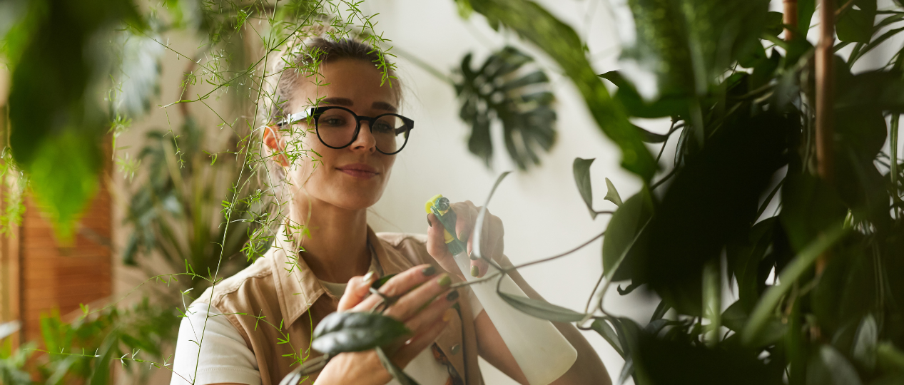 Planten verzorgen en geen groene vingers