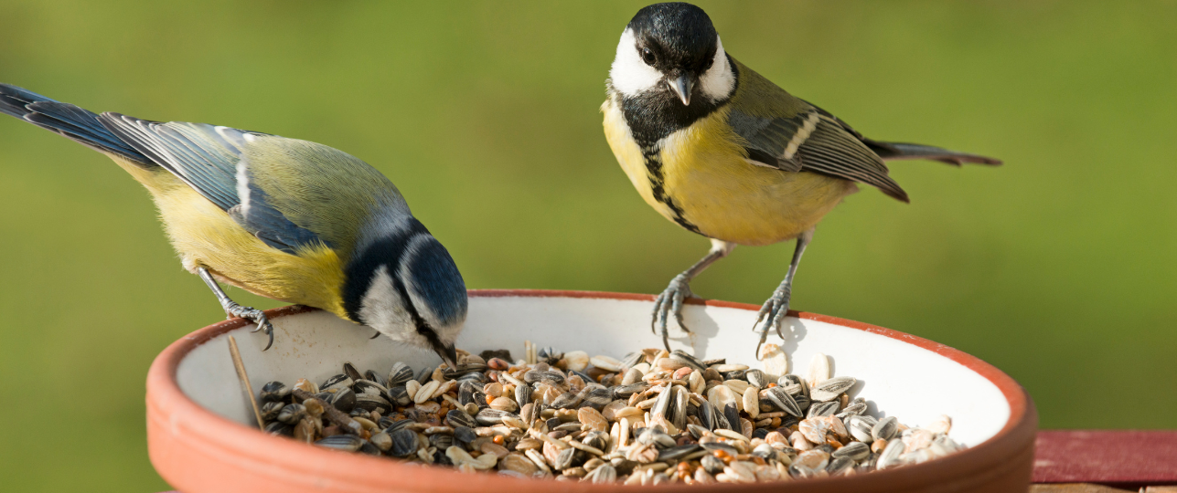 vogels buffet