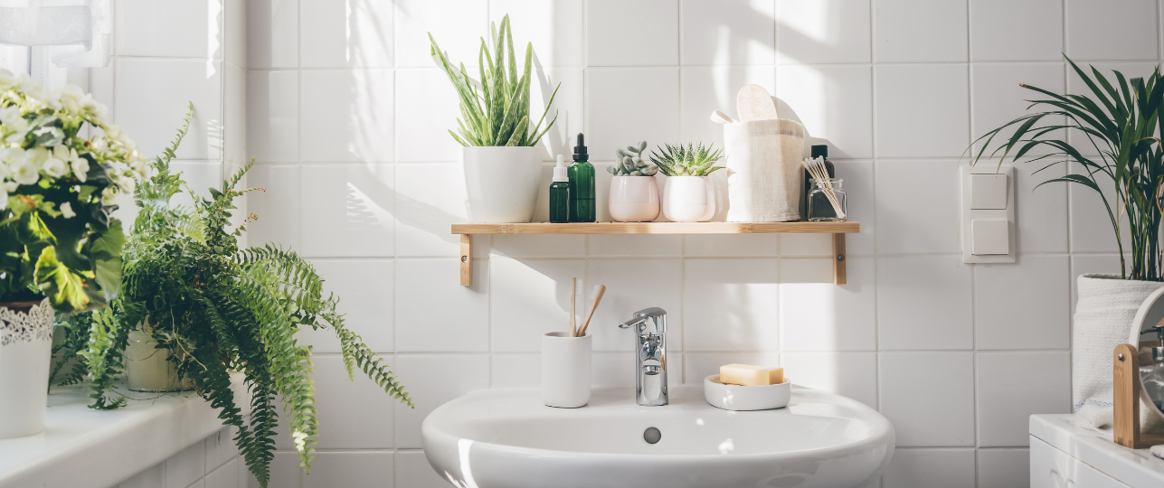 Planten in badkamer