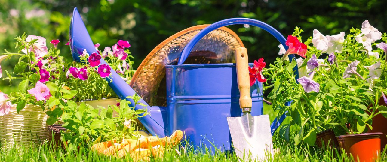 patroon kiespijn credit Je tuin klaarmaken voor de lente: handige tips en stappenplan