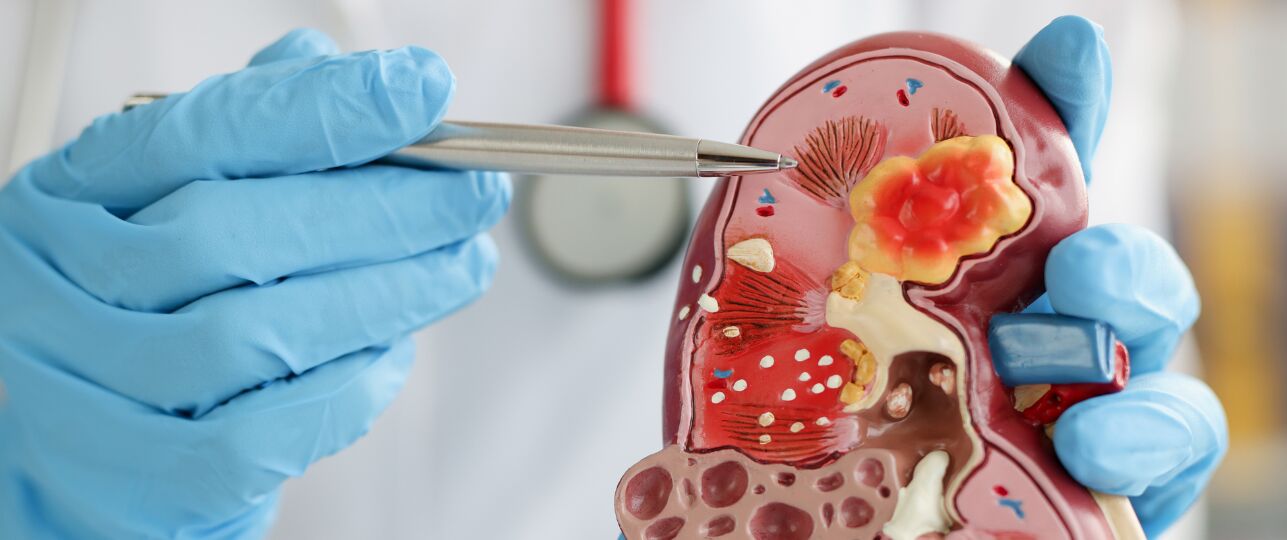 Donor worden? Deze organen kun je