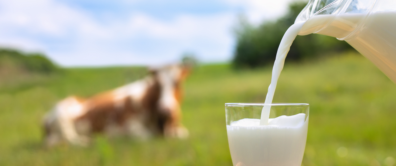 Melk gezond of ongezond, sloopmelk