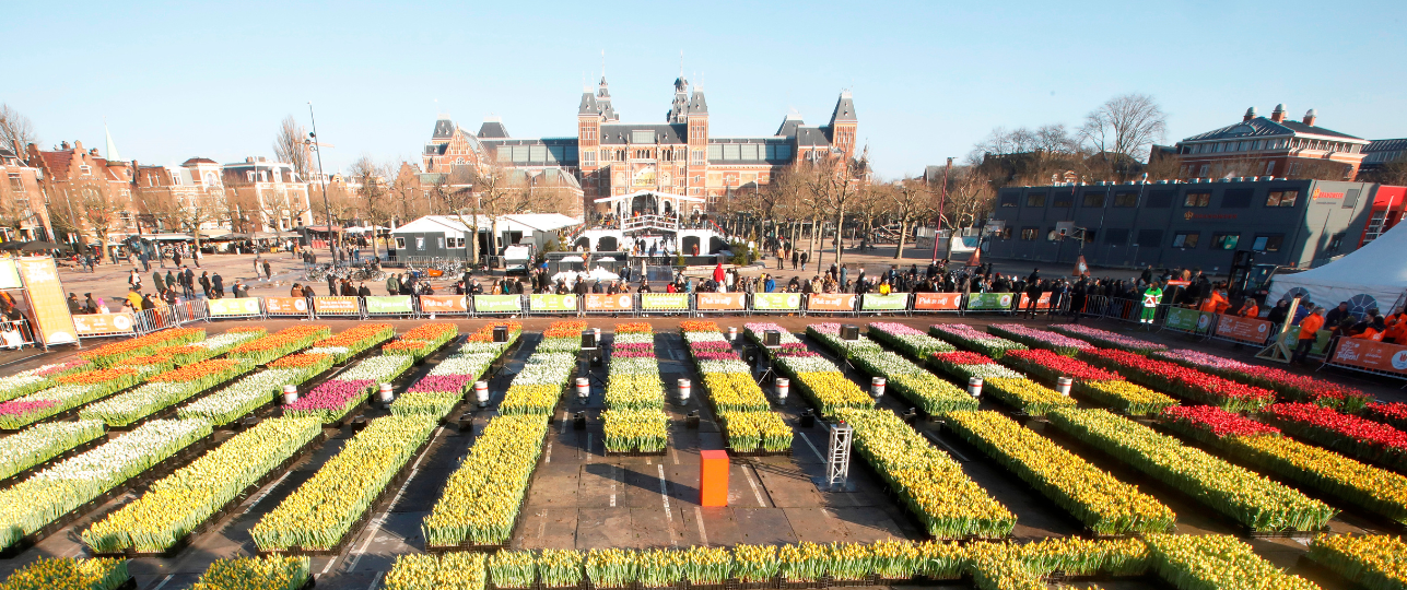 Nationale Tulpendag