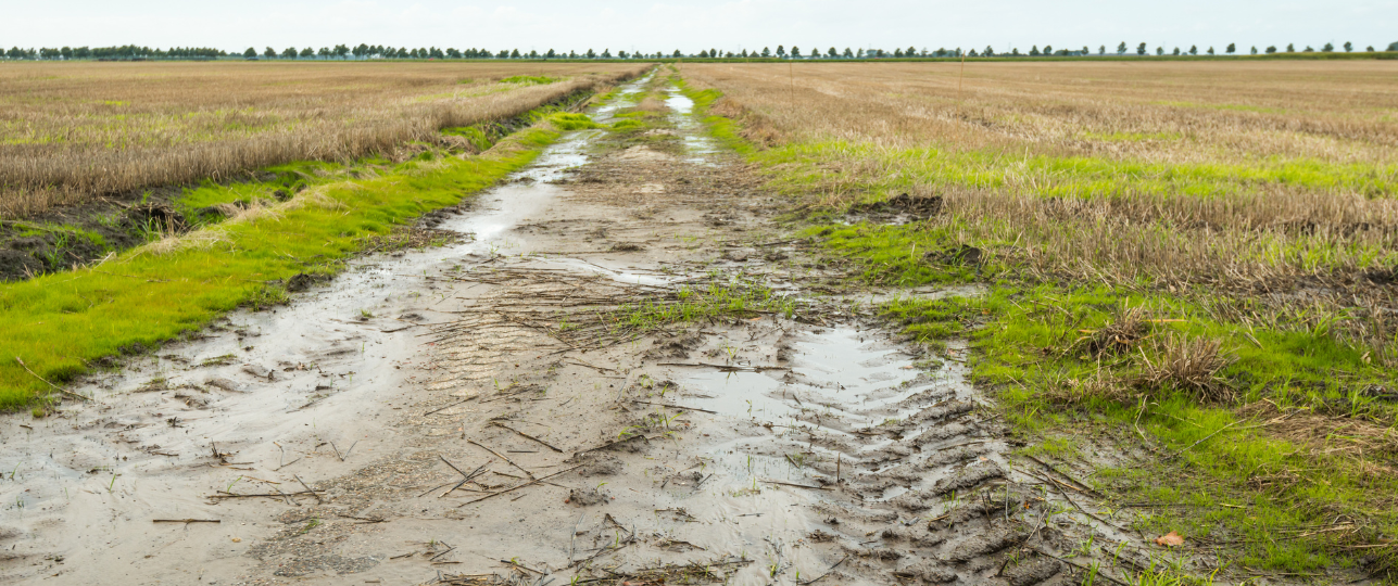 Boeren hebben problemen met zaaien