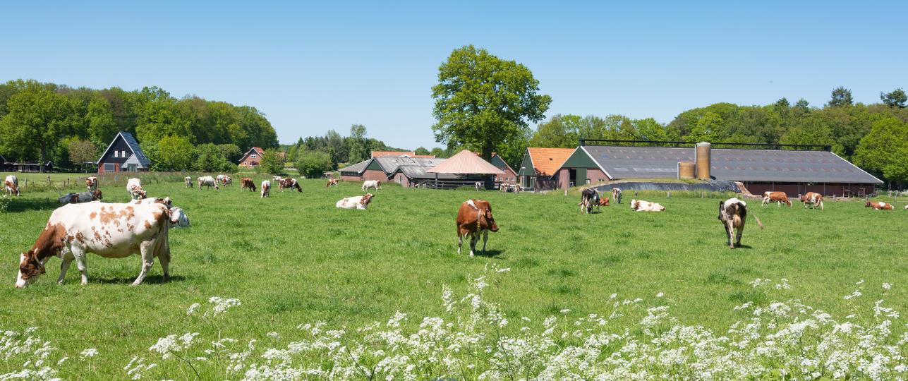 Oldenzaal Leukste Gemeente in Nederland