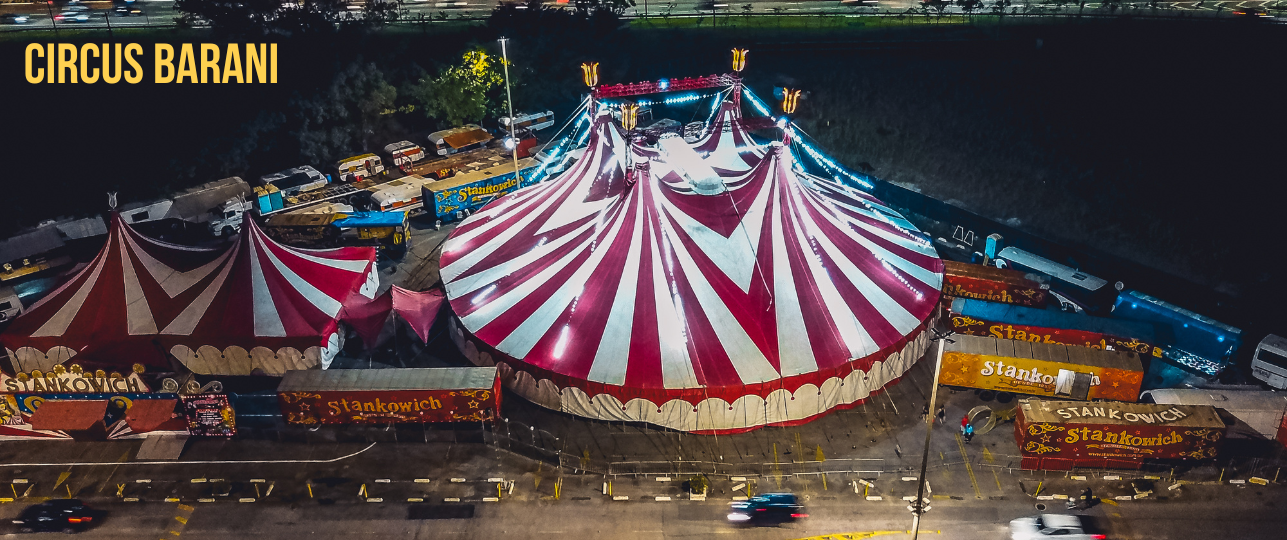 Circus Barani slachtoffer van diefstal, crowdfundingsactie