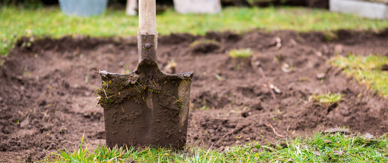 gazon alternatieven, gras eruit gras lelijk vervangen voor bodembedekker