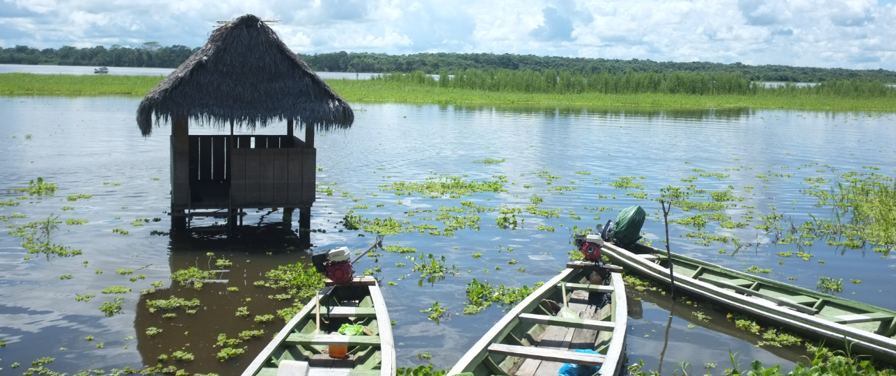 Mashco Piro stam in Peru