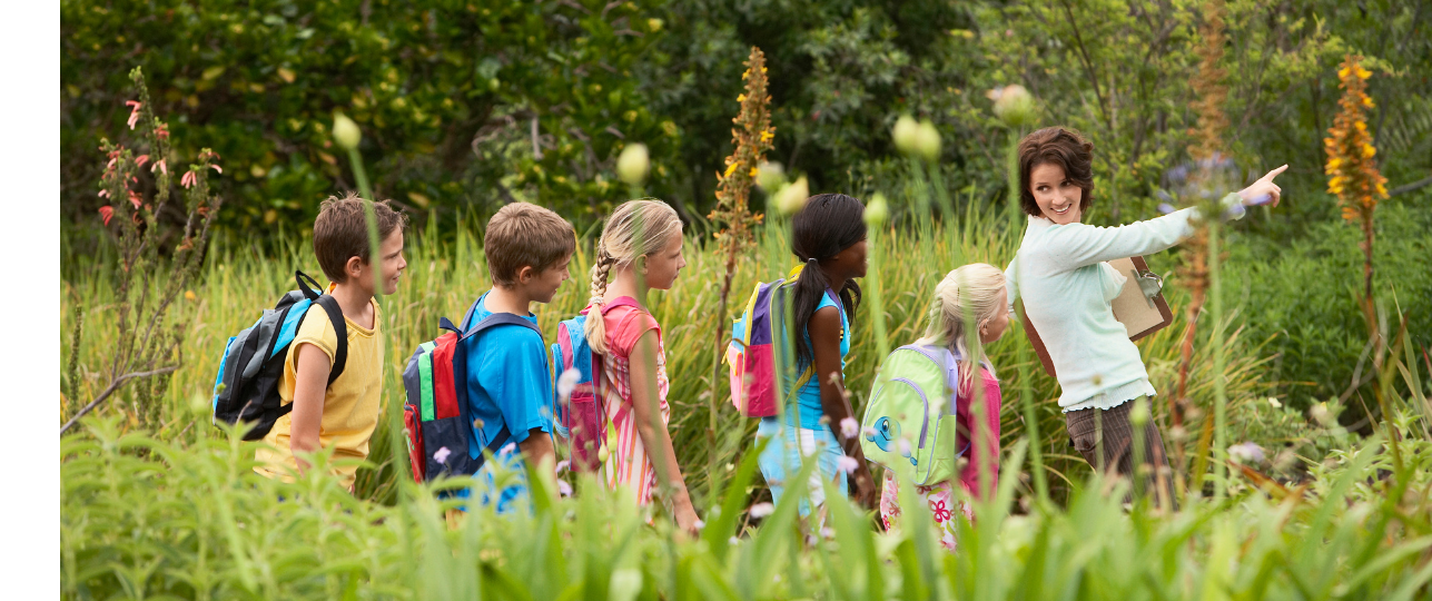 Jongeren weten niet veel meer over de natuur