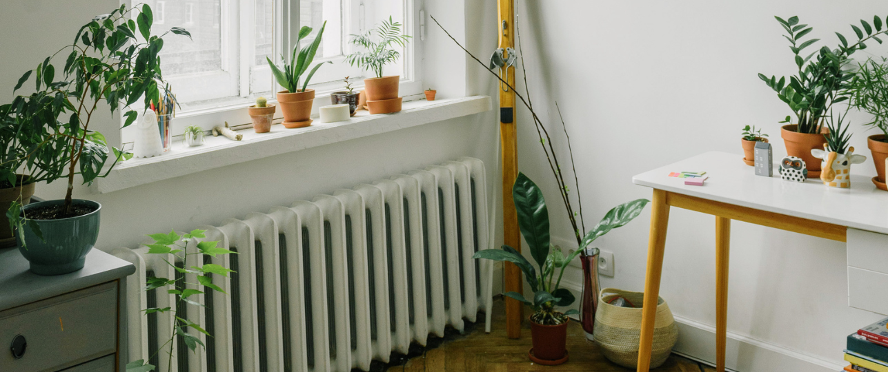 Kamerplanten en verwarming, vloerverwarming, radiator