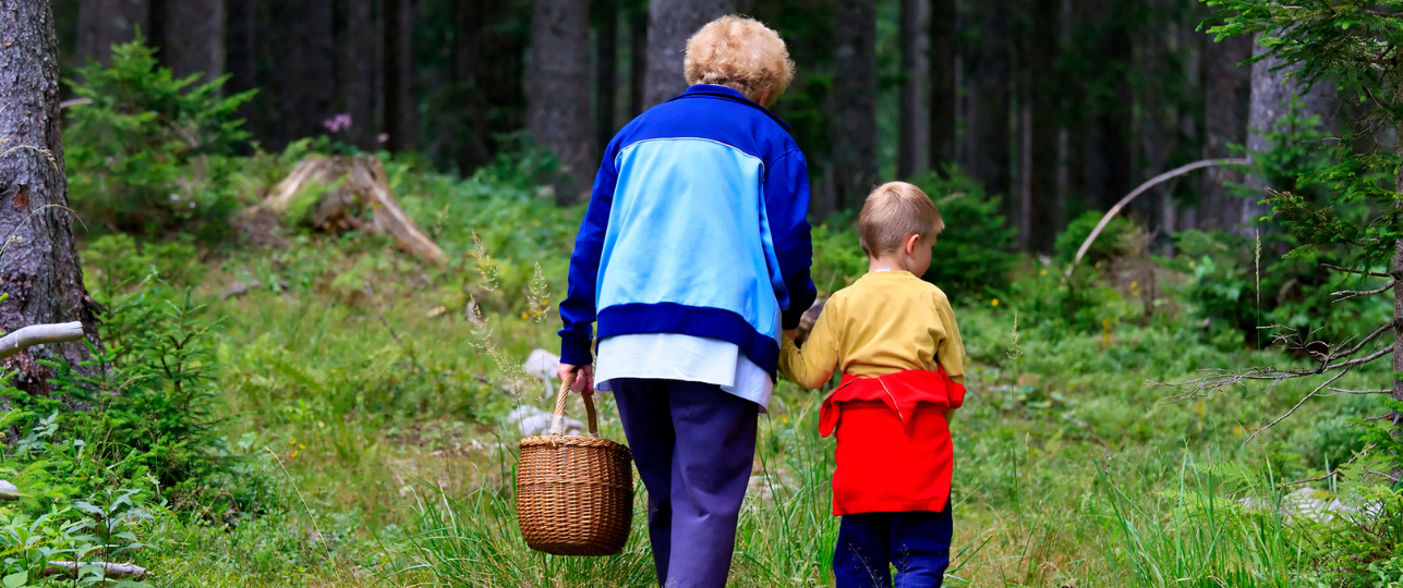 Noten rapen natuur herfst