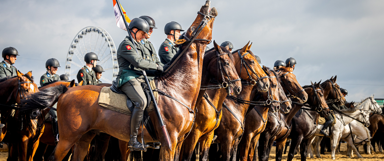 Paarden Prinsjesdag