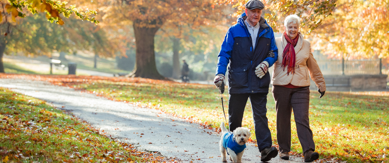 herfstwandeling gelijk aan sporten