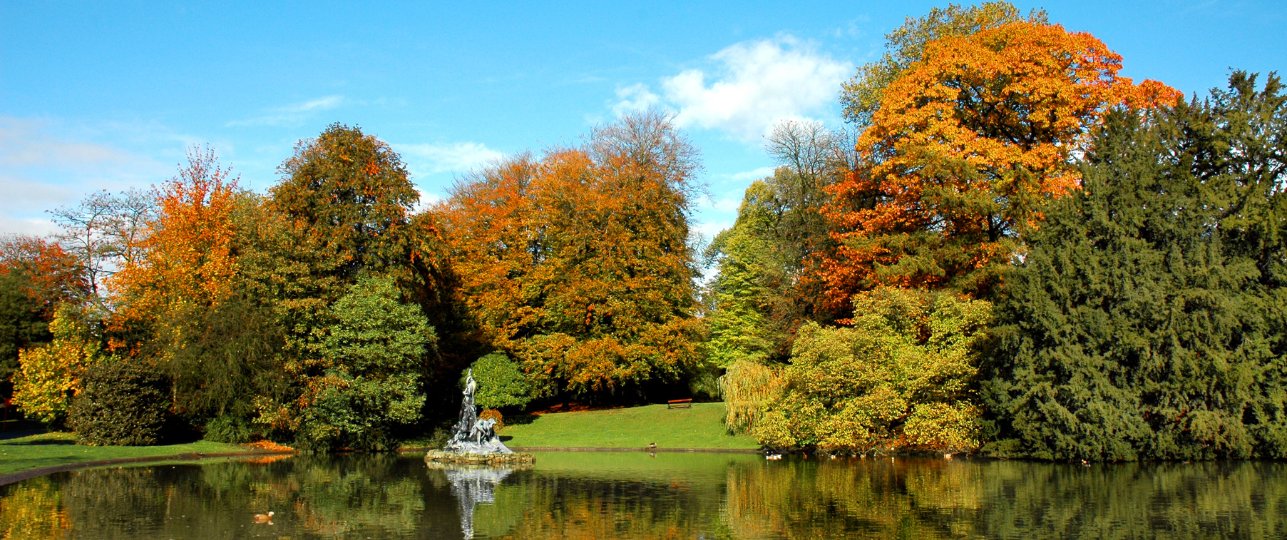 bladeren herfst kleuren