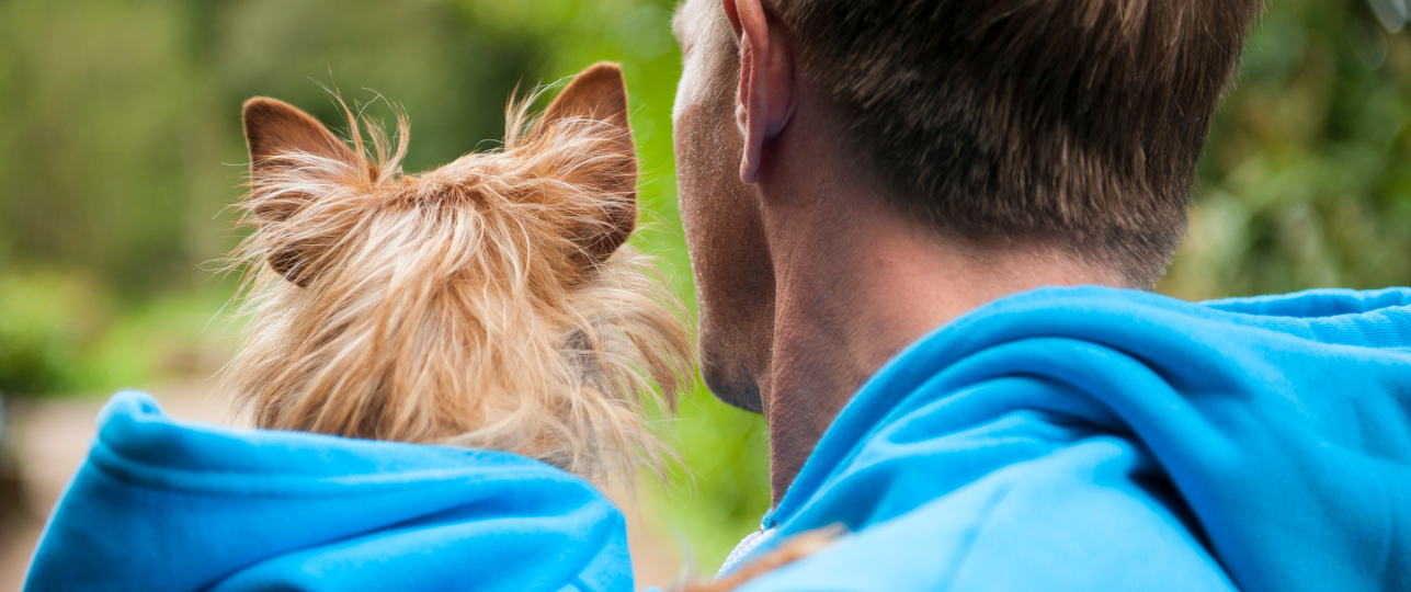 matching-outfits-hond