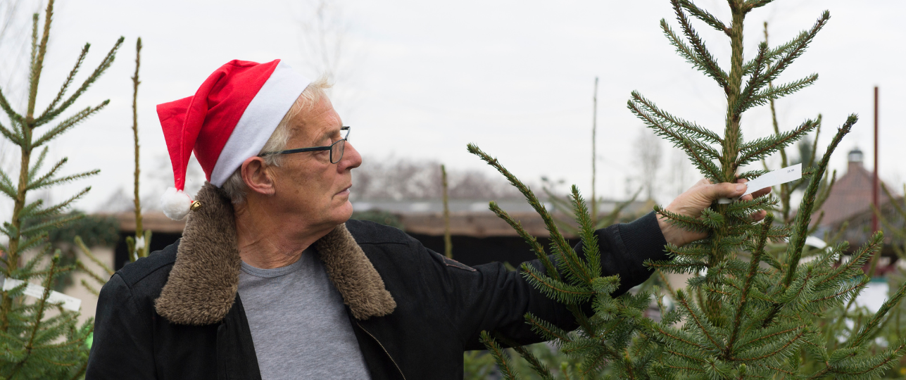 Wat is de beste soort kerstboom om in huis te zetten?