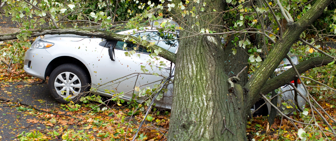 Storm Henk Veroorzaakt Overlast En Verstoringen In Nederland