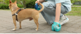 DNA Hondenpoep handhaving boetes
