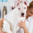 Artrosebehandeling-voor-honden-geschikt-voor-mensen