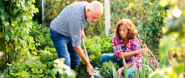 Tuinieren gezondheidsvoordelen