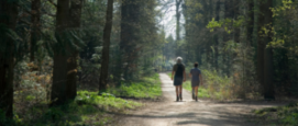 Wandelen in natuur gezond