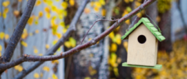 Vogelhuisje zelf maken