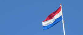 Vlag