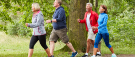 wandelen-verbrand-calorieen