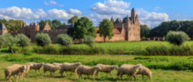 Kasteel Doornenburg