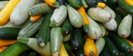 Pompoenen en courgette herfstgerechten