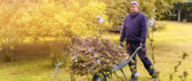 hoe tuin winterklaar maken