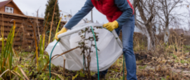 Vaste buitenplanten inpakken en beschermen tegen vorst