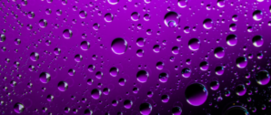 Purple Rain