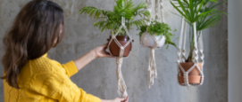 Hangplanten zonder boren