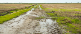 Boeren hebben problemen met zaaien