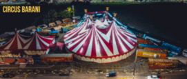 Circus Barani slachtoffer van diefstal, crowdfundingsactie