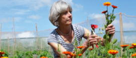 bloemen en fruit pluktuinen