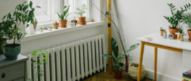 Kamerplanten en verwarming, vloerverwarming, radiator