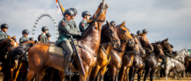 Paarden Prinsjesdag