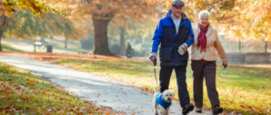 herfstwandeling gelijk aan sporten