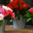 Langer plezier van een bos bloemen: 9 slimme tips