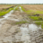 Landbouw in de knel door regenval