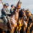 De paarden van Prinsjesdag klaar voor de troonrede ceremonie