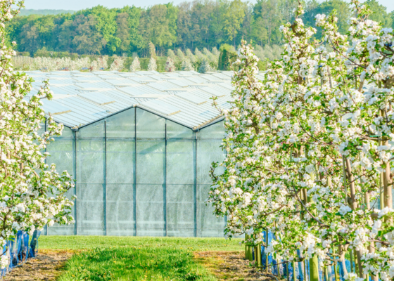 Prins William Duchy of Cornwall Nursery