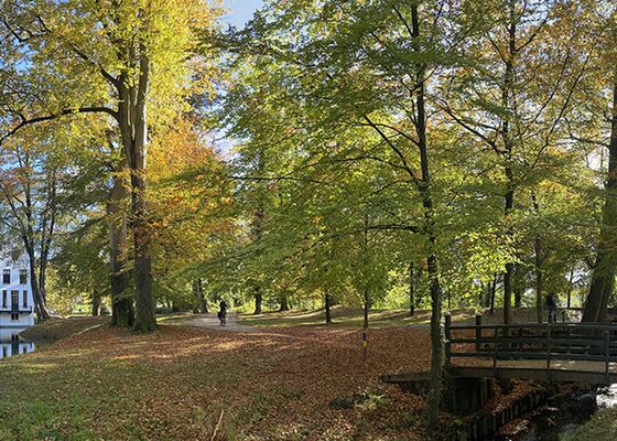 Herfstwandelingen