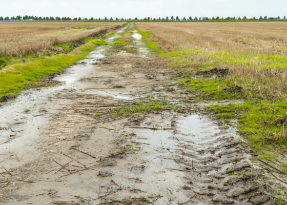 Boeren hebben problemen met zaaien