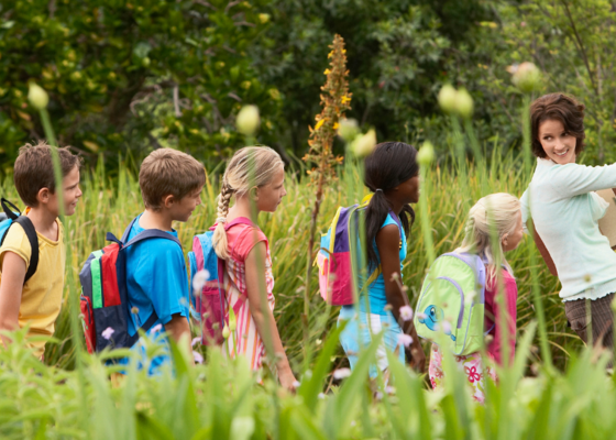 Jongeren weten niet veel meer over de natuur