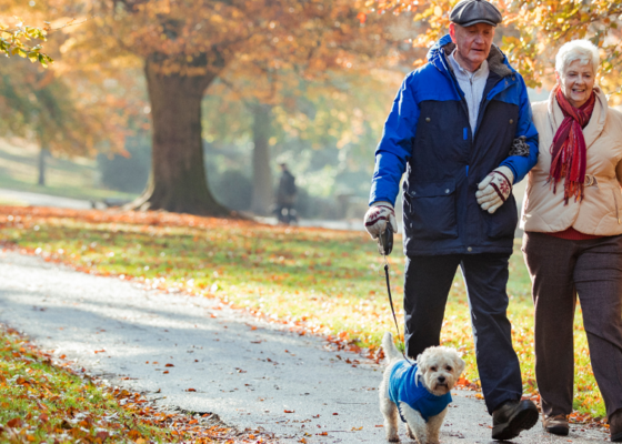 herfstwandeling gelijk aan sporten