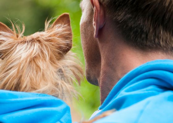 matching-outfits-hond