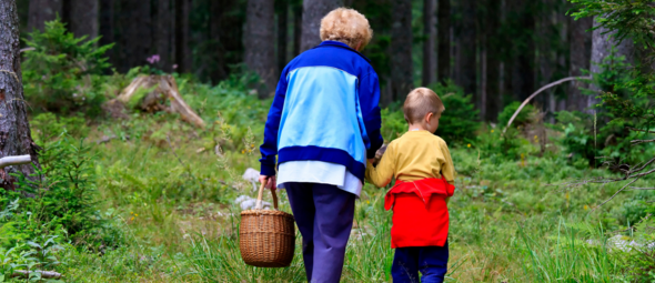 Wilde noten rapen in de herfst: wat mag wel en wat mag niet